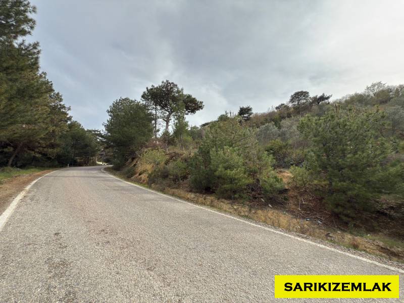 Havran Hallaçlar Mah`daZeytinlik. - 5